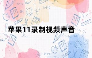 苹果11录制视频声音小_苹果11录制视频怎么没声音
