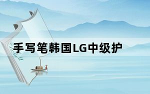 手写笔韩国LG中级护林员