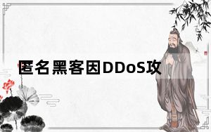 匿名黑客因DDoS攻击儿童医院被判10年监禁