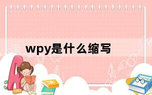 wpy是什么缩写_wpy是什么