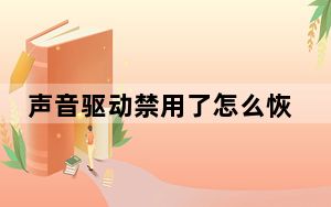 声音驱动禁用了怎么恢复_声音驱动