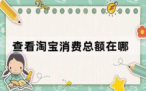 查看淘宝消费总额在哪里_查看淘宝消费总额