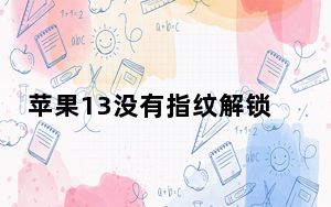苹果13没有指纹解锁吗_苹果11没有指纹解锁吗