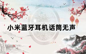 小米蓝牙耳机话筒无声音_小米蓝牙耳机话筒不能说话
