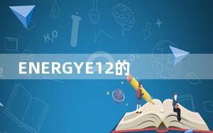 ENERGYE12的市场价格仅为11.99欧元