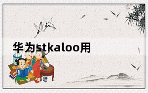 华为stkaloo用什么型号充电器_stkaloo是什么型号