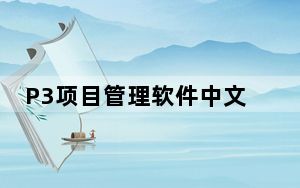 P3项目管理软件中文版 32位/64位 汉化免费版_P3项目管理软件中文版 32位/64位 汉化免费版免费下载