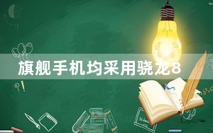 旗舰手机均采用骁龙865处理器 这个芯片有什么特点？