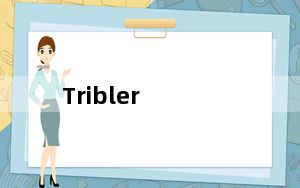 Tribler_p2p下载工具 V7.9.0 官方最新版_Tribler_p2p下载工具 V7.9.0 官方最新版免费下
