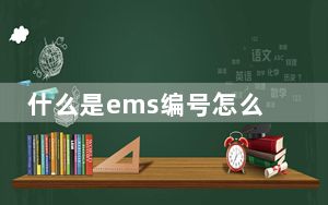什么是ems编号怎么查_什么是EMS