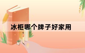 冰柜哪个牌子好家用_冰柜哪个牌子好