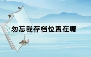 勿忘我存档位置在哪_勿忘我存档位置大全