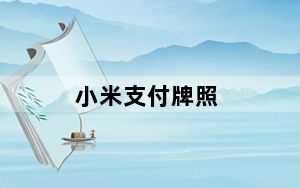 小米支付牌照_小米支付