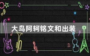大鸟阿轲铭文和出装_大鸟阿力自射
