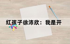 红孩子徐沛欣：我是开着飞机修飞机 苏宁不傻