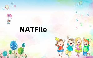 NATFile_网络文件共享工具 V1.2 官方版_NATFile_网络文件共享工具 V1.2 官方版免费下载