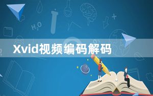 Xvid视频编码解码器 V1.1.3 汉化版_Xvid视频编码解码器 V1.1.3 汉化版免费下载