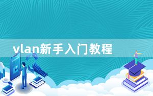 vlan新手入门教程_vlan