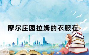 摩尔庄园拉姆的衣服在哪买_摩尔庄园拉姆的衣服购买地点 快吧手游