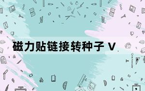 磁力贴链接转种子 V1.0 绿色版_磁力贴链接转种子 V1.0 绿色版免费下载