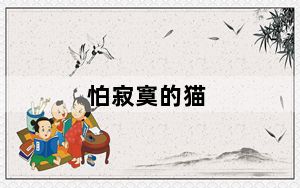 怕寂寞的猫_怕寂寞的猫
