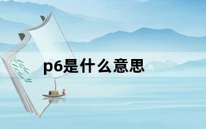 p6是什么意思_p6s