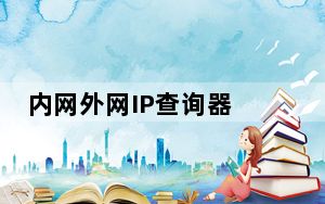 内网外网IP查询器 1.0 绿色免费版_内网外网IP查询器 1.0 绿色免费版免费下载