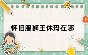 怀旧服狮王休玛在哪_怀旧服狮王休玛位置