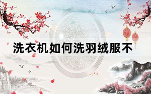 洗衣机如何洗羽绒服不爆炸_洗衣机如何洗羽绒服