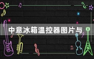 中意冰箱温控器图片与价格_中意冰箱