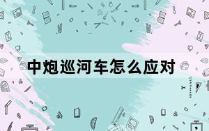 中炮巡河车怎么应对_卓普小黑c2官网