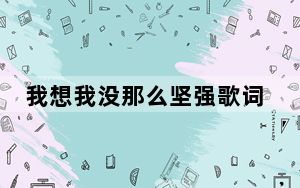 我想我没那么坚强歌词是什么_我想我没那么坚强