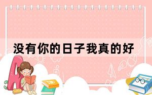 没有你的日子我真的好孤单原唱_没有你的日子