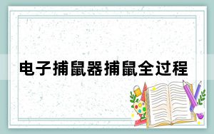 电子捕鼠器捕鼠全过程_电子捕鼠器