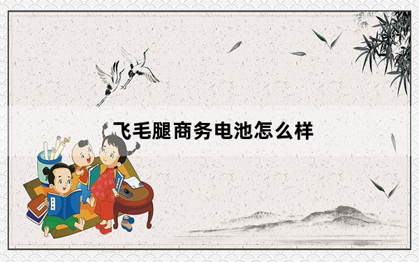 飞毛腿商务电池怎么样_飞毛腿商务电池