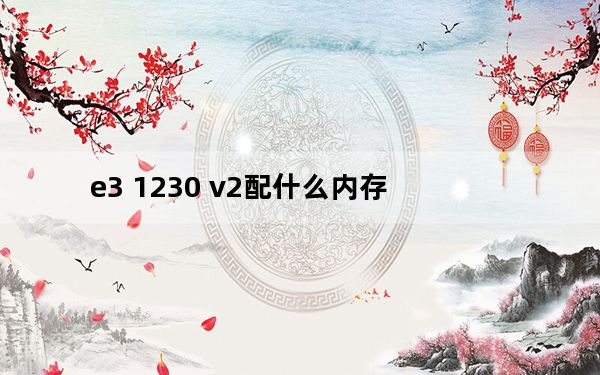 e3 1230 v2配什么内存_e3 1230 v2配什么主板
