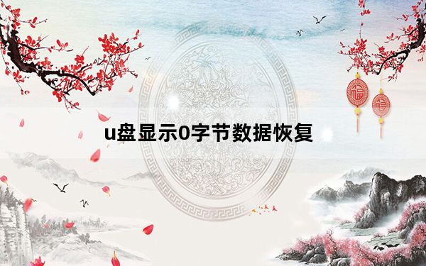u盘显示0字节数据恢复_u盘显示0字节
