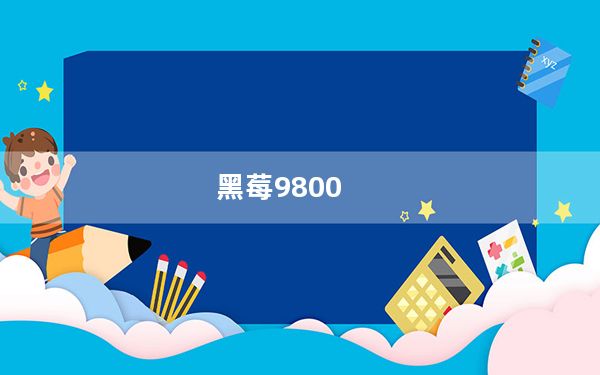 黑莓9800_黑莓9810
