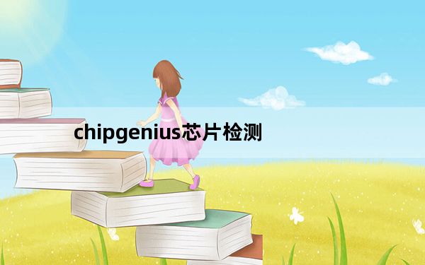 chipgenius芯片检测_chipgenius芯片精灵