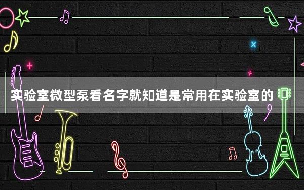 实验室微型泵看名字就知道是常用在实验室的