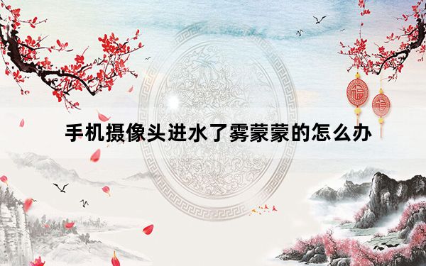 手机摄像头进水了雾蒙蒙的怎么办_手机摄像头