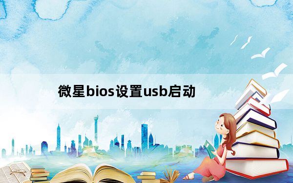 微星bios设置usb启动_bios设置usb启动