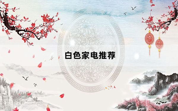 白色家电推荐_白色家电