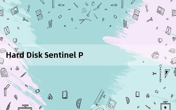 Hard Disk Sentinel Pro免费注册码版 V6.00 汉化破解版_Hard Disk Sentinel
