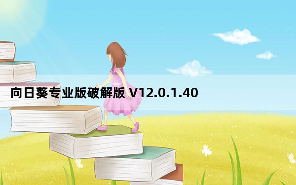 向日葵专业版破解版 V12.0.1.40571 永久免费版_向日葵专业版破解版 V12.0.1.40571 永久免费版免