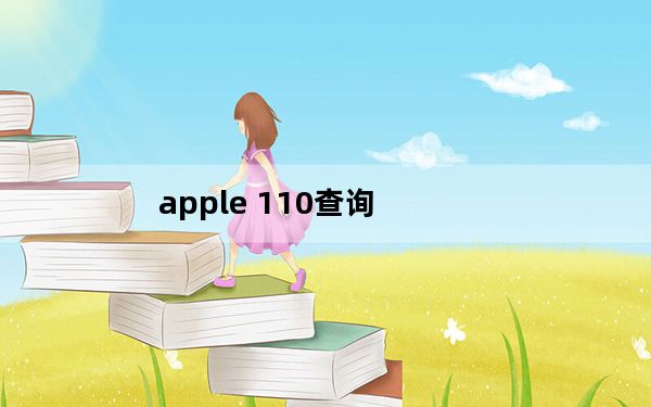 apple 110查询_苹果110查询序列号