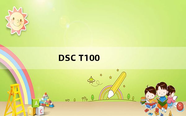 DSC T100_dsc t200