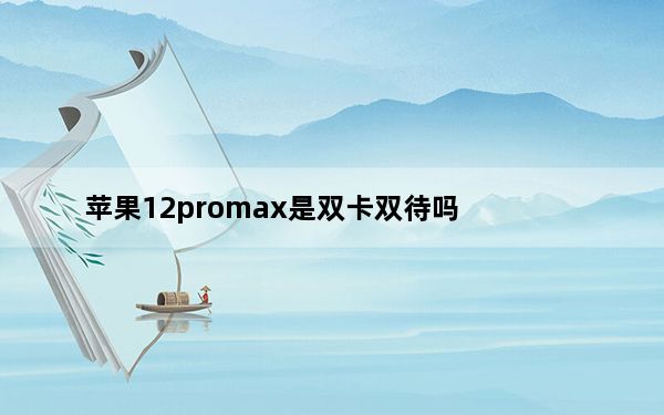 苹果12promax是双卡双待吗_苹果12promax是双卡双待吗答案 快吧手游
