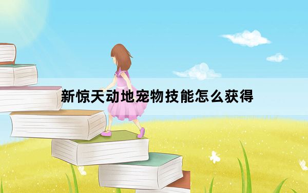 新惊天动地宠物技能怎么获得_《新惊天动地》宠物获得与升级攻略