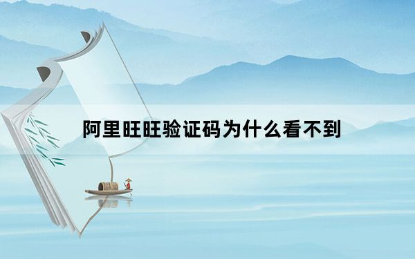 阿里旺旺验证码为什么看不到_阿里旺旺验证码不显示